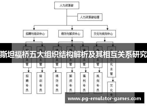 斯坦福桥五大组织结构解析及其相互关系研究