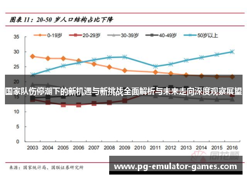国家队伤停潮下的新机遇与新挑战全面解析与未来走向深度观察展望