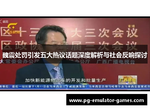 魏震处罚引发五大热议话题深度解析与社会反响探讨